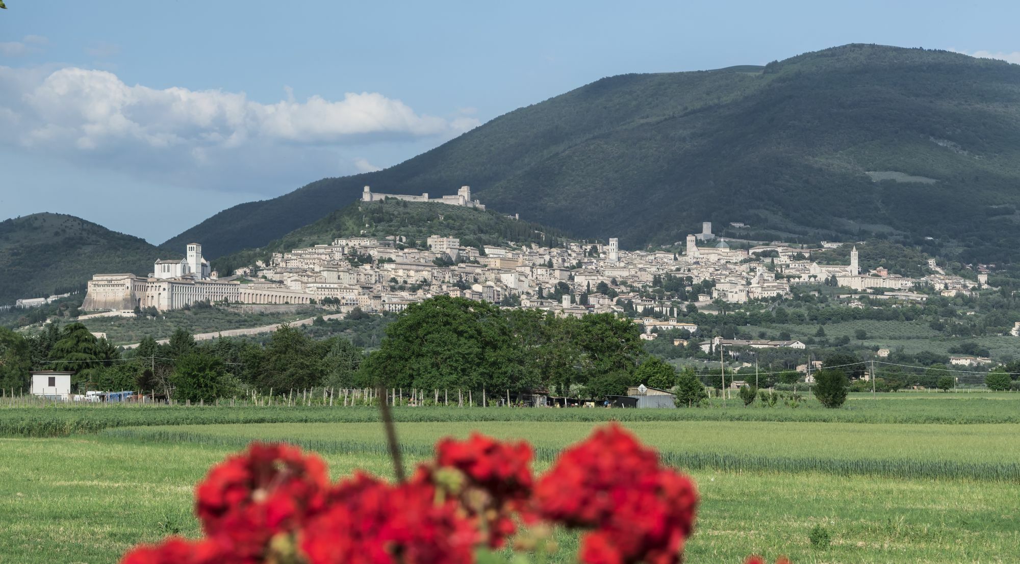 Camere Mariella Assisi Exteriér fotografie